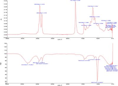 Biodiesel Synthesis From Cucumis melo Var. agrestis Seed Oil: Toward Non-food Biomass Biorefineries